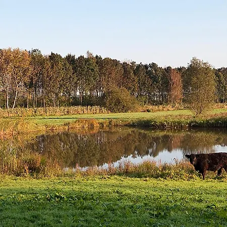 Uylenburg- Du Midi Hotel 3*