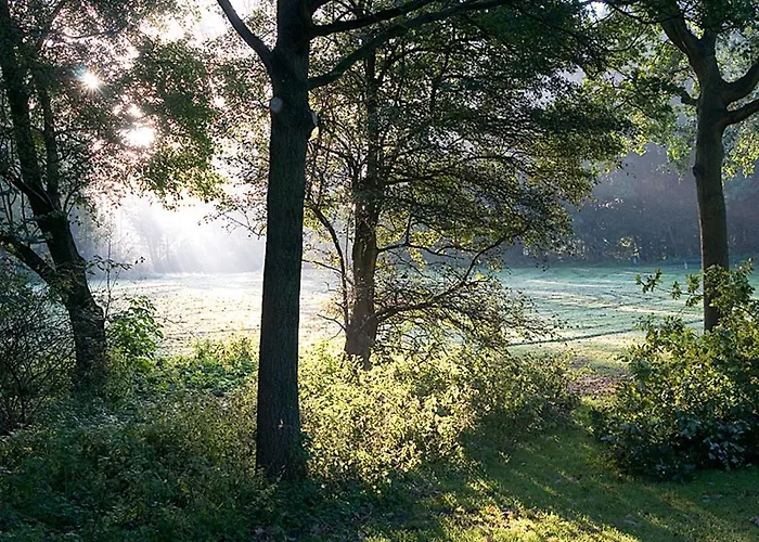 Uylenburg- Du Midi فندق دلفت