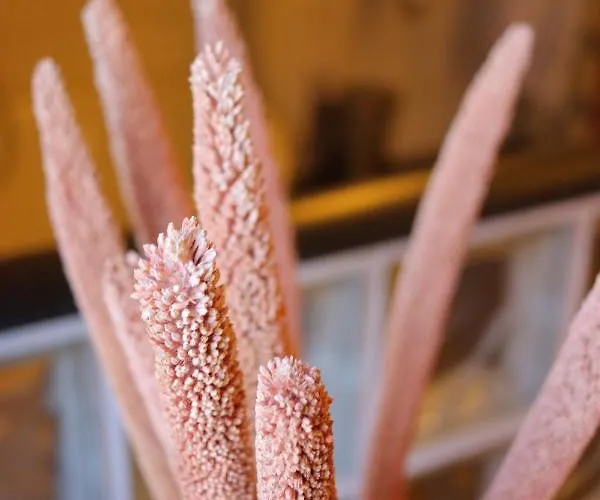 Uylenburg- Du Midi Hotel Delft