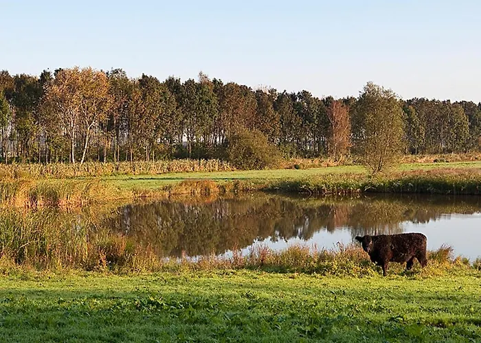 Uylenburg- Du Midi Hotel 3*